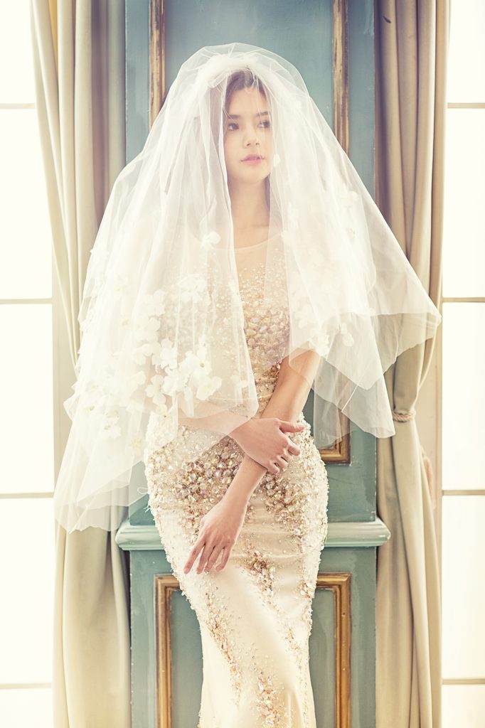 Veil over wedding dress